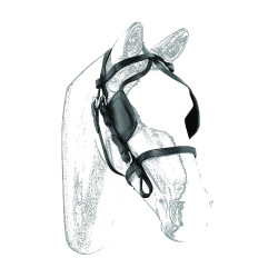 Fiakerzaum aus Leder Umbria Equitazione