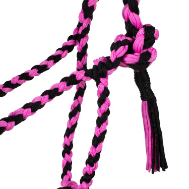 Geflochtener Nylonhalfter Pool's Schwarz / Rosa