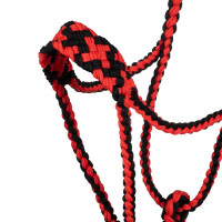 Geflochtener Nylonhalfter Pool's Schwarz / Rot