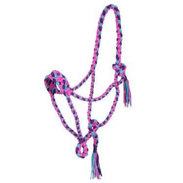Geflochtener Nylonhalfter Pool's Rosa / Himmelblau / Violett Mehrfarbig