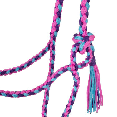 Geflochtener Nylonhalfter Pool's Rosa / Himmelblau / Violett Mehrfarbig