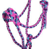 Geflochtener Nylonhalfter Pool's Rosa / Himmelblau / Violett Mehrfarbig