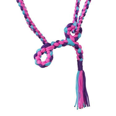 Geflochtener Nylonhalfter Pool's Rosa / Himmelblau / Violett Mehrfarbig