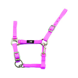 Fohlenhalfter Verstellbar mit Karabiner Supreme Fohlenhalfter Verstellbar mit Karabiner Supreme