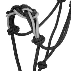 Halfter mit Geflochtener Nasenschnur Pool's Schwarz / Grau