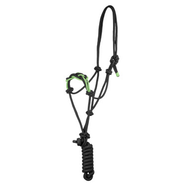 Halfter mit Geflochtener Nasenschnur Pool's Schwarz / Zitrone