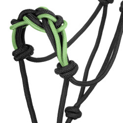 Halfter mit Geflochtener Nasenschnur Pool's Schwarz / Zitrone