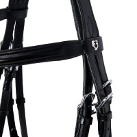 Zaum Evolution aus Leder ohne Doppellongen Equestro Schwarz