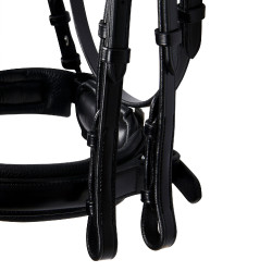 Zaum Evolution aus Leder ohne Doppellongen Equestro Schwarz