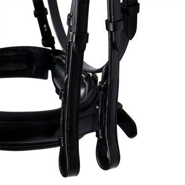 Zaum Evolution aus Leder ohne Doppellongen Equestro Schwarz