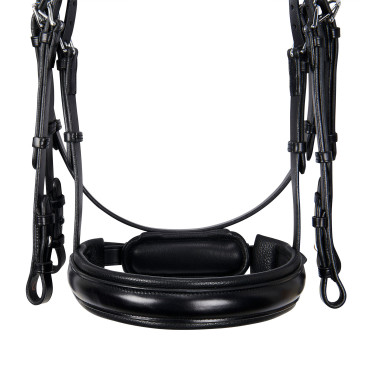 Zaum Evolution aus Leder ohne Doppellongen Equestro Schwarz