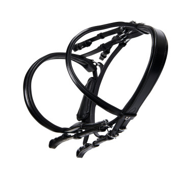 Zaum Evolution aus Leder ohne Doppellongen Equestro Schwarz