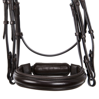 Zaum Evolution aus Leder ohne Doppellongen Equestro Dunkelbraun