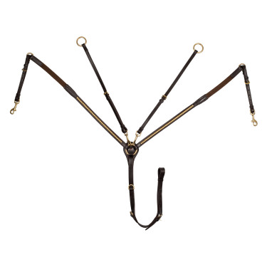 Brustblatt aus Leder mit Messing-Clinchern Supreme