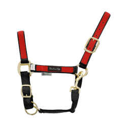 Nylonhalfter mit farbigen Teilen Umbria Equitazione