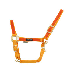 Nylonhalfter mit farbigen Teilen Umbria Equitazione Gold / Orange
