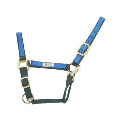 Nylonhalfter mit farbigen Teilen Umbria Equitazione Grün / Royalblau Mehrfarbig