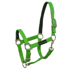 Nylonhalfter mit Lederverstärkung Umbria Equitazione Zitrone Gelb
