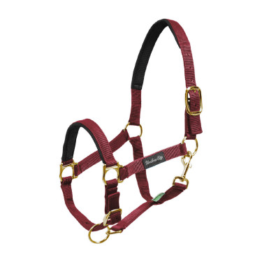 Licol en Nylon avec Renfort en Néoprène Umbria Equitazione Bordeaux