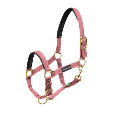 Nylonhalfter mit Neoprenverstärkung Umbria Equitazione Pink Rosa