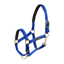 Nylonhalfter mit Neoprenverstärkung Umbria Equitazione Nylonhalfter mit Neoprenverstärkung Umbria Equitazione