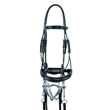 Dressurtrense Olympe Suprême Dressurtrense Olympe Suprême