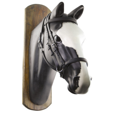 Biothane Horse Ball Trense mit Zügeln Umbria Equitazione