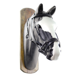 Gebisslose Trense Horseball mit Zügeln Umbria Equitazione