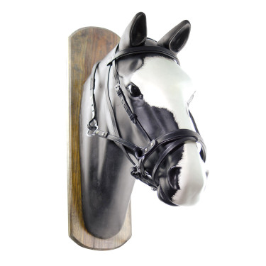 Gebisslose Trense Horseball mit Zügeln Umbria Equitazione