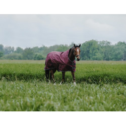 Equithème TYREX 1200D High Neck Decke Equithème TYREX 1200D High Neck Decke