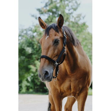 Nylonhalfter Equithème Protector Nylonhalfter Equithème Protector