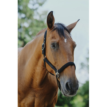 Nylonhalfter Equithème Protector Nylonhalfter Equithème Protector