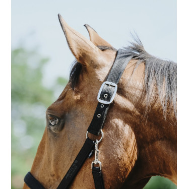 Nylonhalfter Equithème Protector Nylonhalfter Equithème Protector