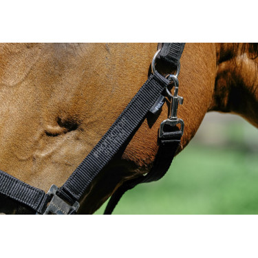 Nylonhalfter Equithème Protector Nylonhalfter Equithème Protector