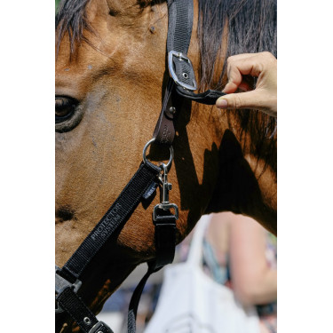 Nylonhalfter Equithème Protector Nylonhalfter Equithème Protector