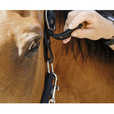 Nylonhalfter Equithème Protector Nylonhalfter Equithème Protector
