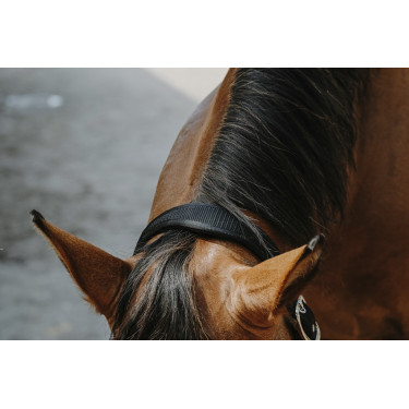 Nylonhalfter Equithème Protector Nylonhalfter Equithème Protector