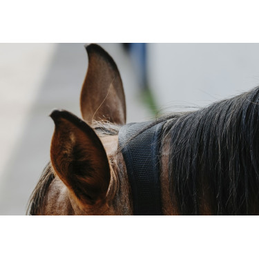 Nylonhalfter Equithème Protector Nylonhalfter Equithème Protector