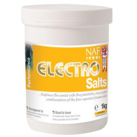 Electro Salze NAF