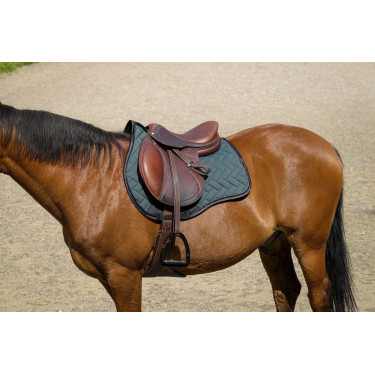 Satteldecke Equithème Impulsion Satteldecke Equithème Impulsion