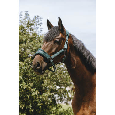 Nylonhalfter Equithème 3D Mesh Nylonhalfter Equithème 3D Mesh