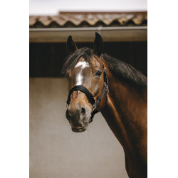 Nylonhalfter Equithème Jacquard Nylonhalfter Equithème Jacquard