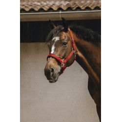 Nylonhalfter Equithème Jacquard Nylonhalfter Equithème Jacquard