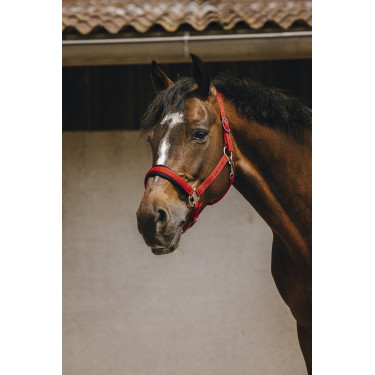 Nylonhalfter Equithème Jacquard Nylonhalfter Equithème Jacquard