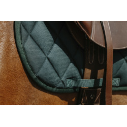 Satteldecke Riding World School Satteldecke Riding World School