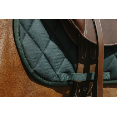 Satteldecke Riding World School Satteldecke Riding World School