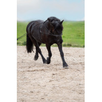 Lange Zügel Imperial Riding Free Ride fein Schwarz Lange Zügel Imperial Riding Free Ride fein Schwarz