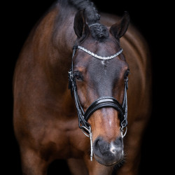 Imperial Riding Olympia Trense