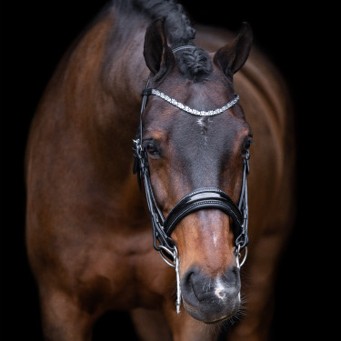 Imperial Riding Olympia Trense