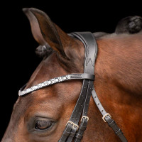 **Kaiserliche Reittrense Olympia** Schwarz / Silber **Kaiserliche Reittrense Olympia** Schwarz / Silber